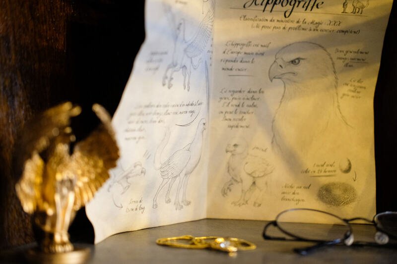 Le grimoire — La Chambre du Sorcier, logement près du Mont Saint-Michel