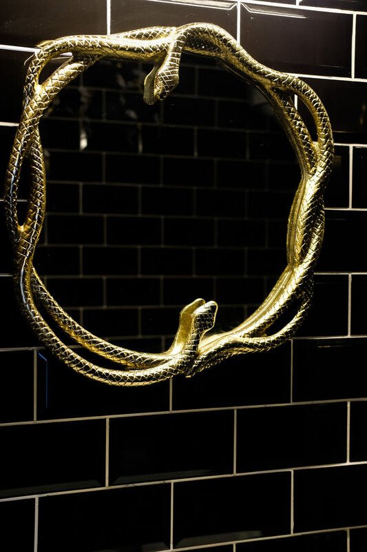 Miroir aux serpents — La Chambre du Sorcier, logement près du Mont Saint-Michel